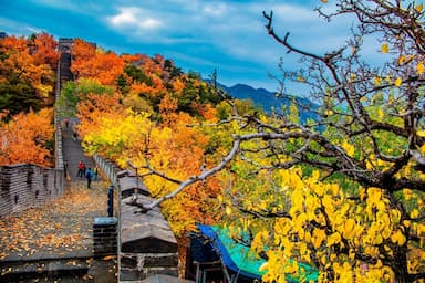 Đi Bắc Kinh mùa nào đẹp? Tiết lộ thời điểm vàng cho chuyến chu du