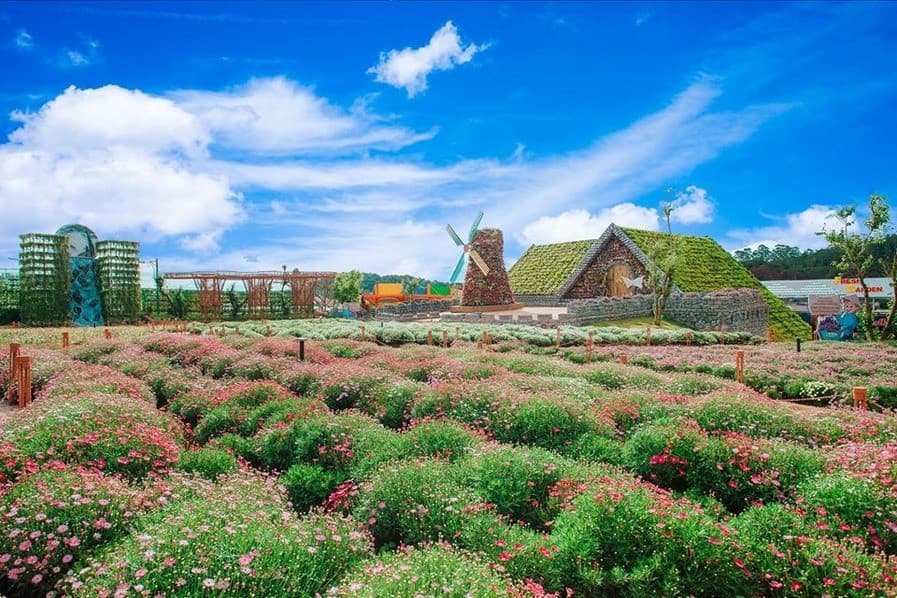 Đi Đà Lạt mùa nào đẹp nhất để tận hưởng trọn vẹn vẻ đẹp xứ sở ngàn hoa?