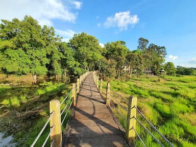 Du lịch Nam Cát Tiên đầu năm tháng 1-3 - Mãn nhãn với “thiên đường xanh” ngay gần Sài Gòn