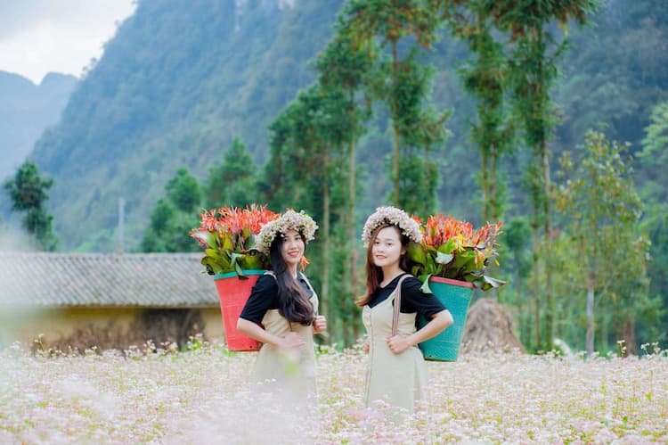 Tour Hà Giang - Sông Nho Quế hùng vĩ 3 ngày 2 đêm từ Hà Nội - Tết Dương Lịch 2026