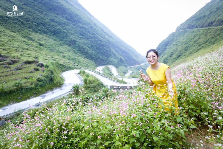 Tour Hà Giang - Sông Nho Quế 4 ngày 4 đêm từ TP.HCM: Trải nghiệm văn hóa miền đá