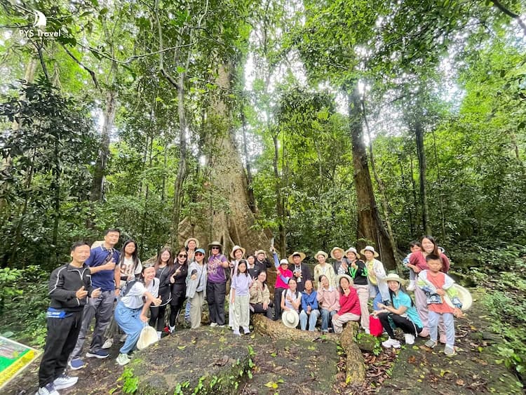 Tour Nam Cát Tiên 2 ngày 1 đêm từ TP.HCM - Tết Dương Lịch 2026