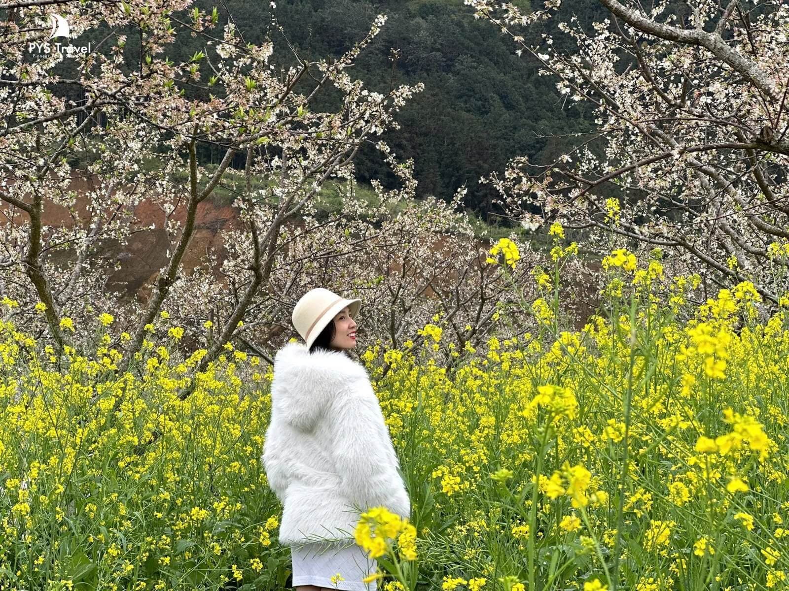 Tour Bắc Hà - Tả Van Chư 2 ngày 1 đêm từ Hà Nội - Tết Nguyên Đán 2026