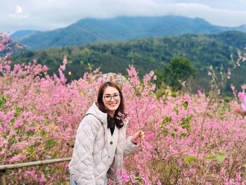 Tour Mộc Châu 3 ngày 3 đêm từ TP.HCM - Tết Nguyên Đán 2026