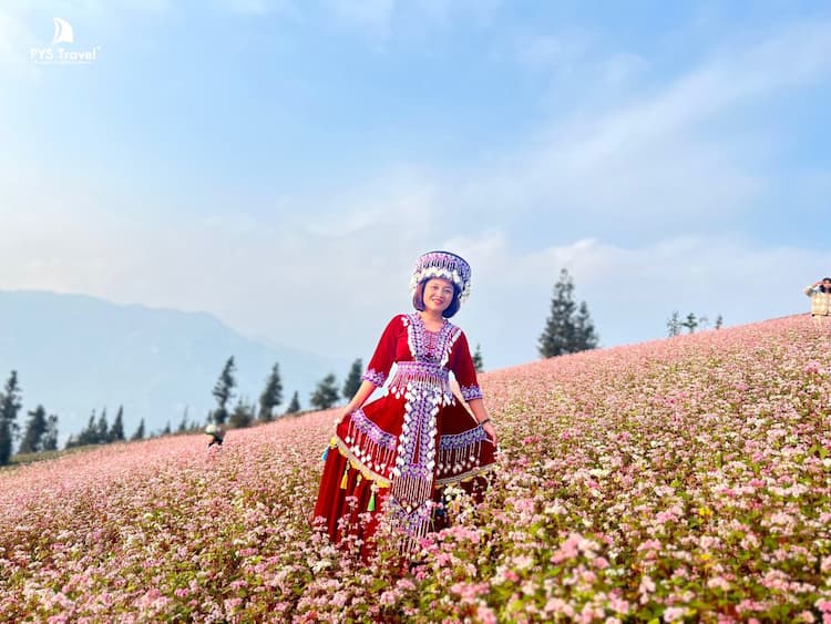 Tour Hoàng Su Phì - Bắc Hà 4 ngày 4 đêm từ TP.HCM - Tết Nguyên Đán 2026