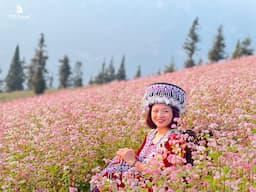 Tour Hoàng Su Phì - Bắc Hà 4 ngày 4 đêm từ TP.HCM - Tết Dương Lịch 2026