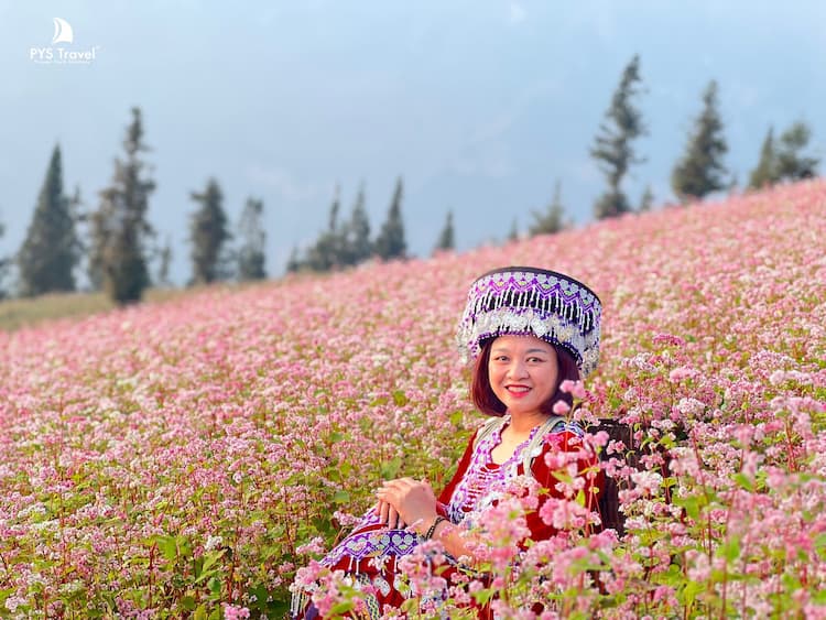 Tour Hoàng Su Phì - Bắc Hà 4 ngày 4 đêm từ TP.HCM - Tết Dương Lịch 2026