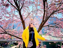 Tour Đông Bắc: Hà Giang - Cao Bằng - Bắc Kạn 5 ngày 5 đêm từ TP.HCM - Tết Dương Lịch 2026