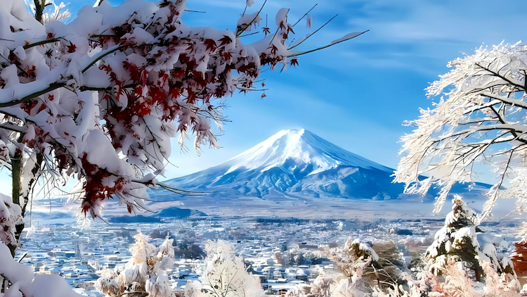 Tour Nhật Bản: Tokyo - Yamanashi - Núi Phú Sĩ - Nagoya - Kyoto - Osaka - Kansai 6 ngày 5 đêm từ TP.HCM