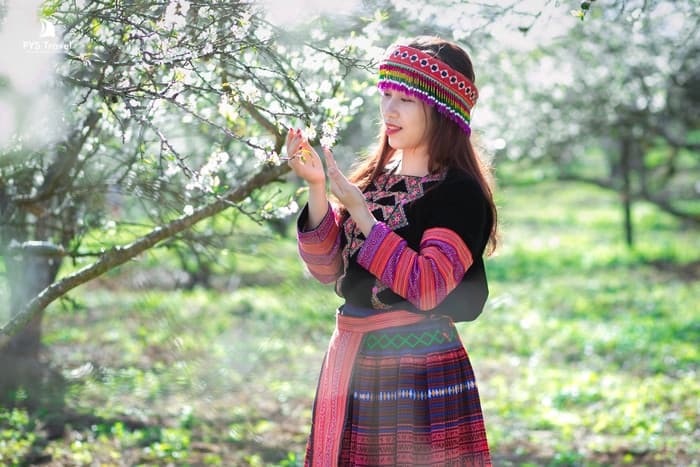 Tour Mộc Châu - Sơn La - Điện Biên 3 ngày 2 đêm từ Hà Nội - Tết Nguyên Đán 2026