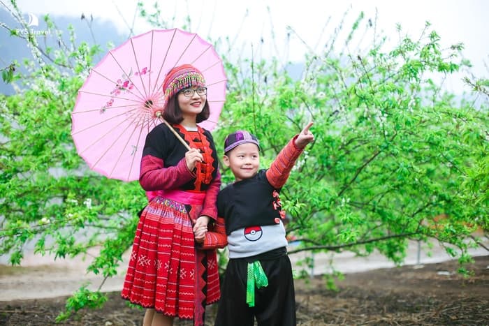 Tour Mộc Châu 2 ngày 1 đêm từ Hà Nội - Tết Nguyên Đán 2026