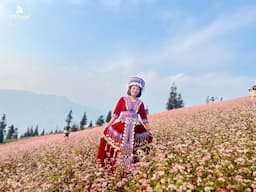 Tour Hoàng Su Phì - Chiêu Lầu Thi - Bắc Hà 3 ngày 2 đêm từ Hà Nội