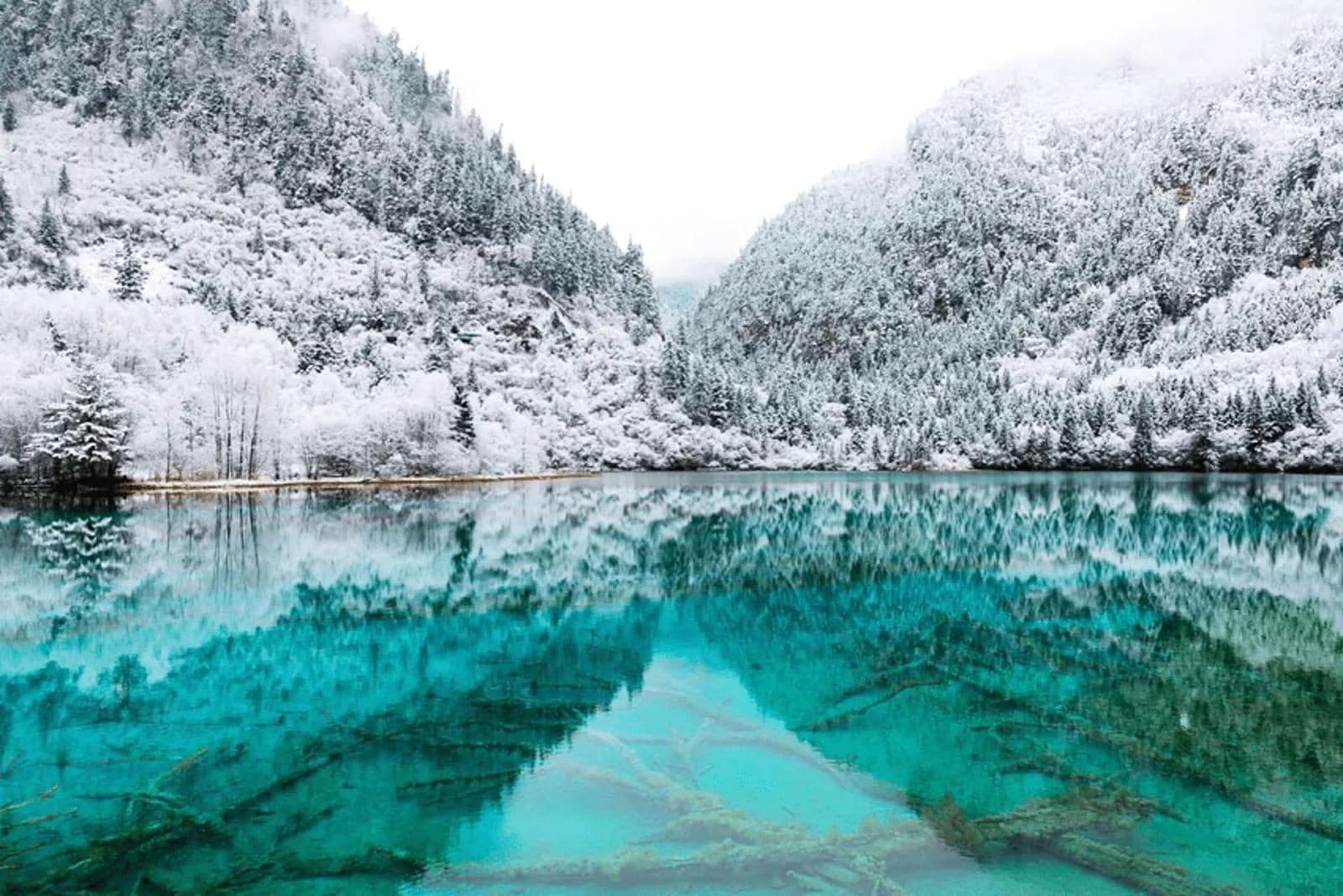 Khám phá Cửu Trại Câu mùa đông - Xứ sở tuyết trắng kỳ vĩ