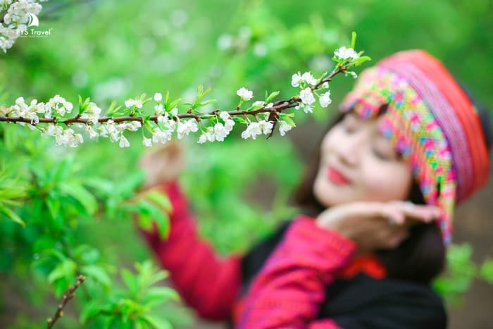 Tour Mộc Châu 3 ngày 3 đêm từ TP.HCM - Tết Nguyên Đán 2026