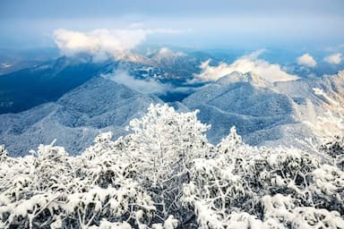 Trùng Khánh có tuyết không? Bí mật về mùa đông hiếm thấy ở miền Tây Trung Quốc