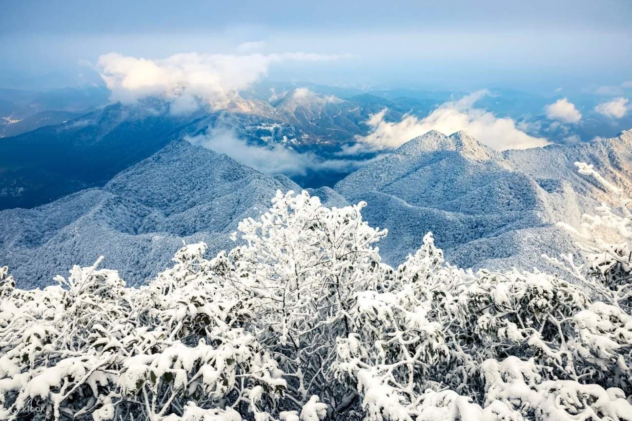 Trùng Khánh có tuyết không? Bí mật về mùa đông hiếm thấy ở miền Tây Trung Quốc