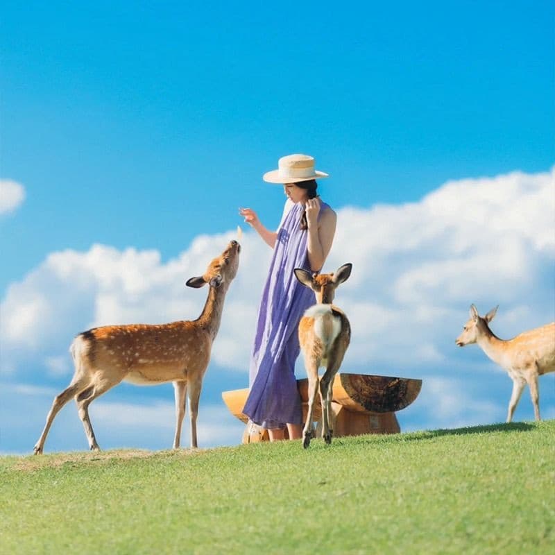 Tour Nhật Bản mùa hè 2026: Osaka - Kyoto - Phú Sĩ - Tokyo 6 ngày 5 đêm từ Hà Nội