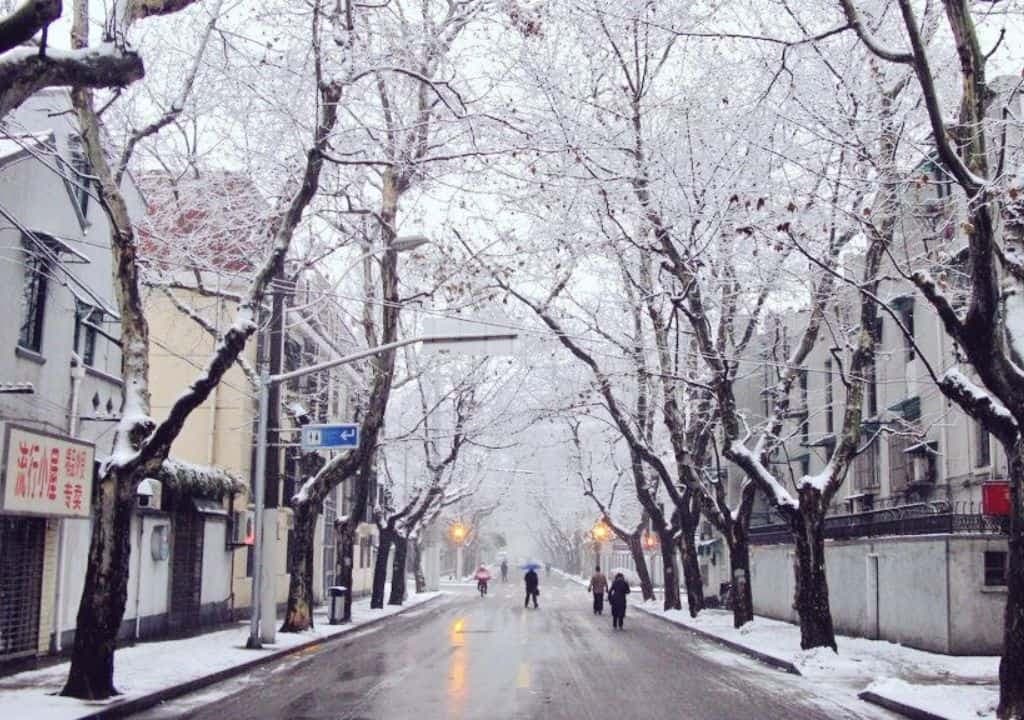 Thượng Hải có tuyết không? Thượng Hải tháng mấy có tuyết và cẩm nang du lịch mùa đông