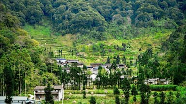Chợ Phố Cáo Hà Giang - Điểm đến văn hóa độc đáo giữa cao nguyên đá