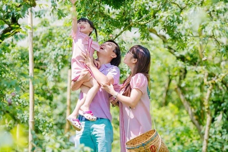 Gợi ý chọn tour du lịch Tết cho gia đình có trẻ nhỏ để hành trình nghỉ tết trọn vẹn niềm vui