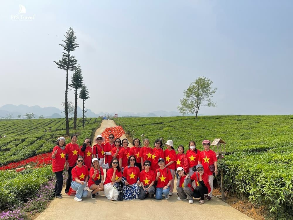 Để tôi chỉ cho bạn cách đi Mộc Châu tháng 4 dễ, rẻ và tuyệt vời nhất