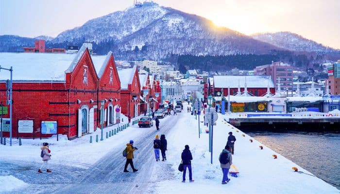 Tour Nhật Bản: Hokkaido - Tokyo 6 ngày 5 đêm từ Hà Nội - Tết Nguyên Đán 2026