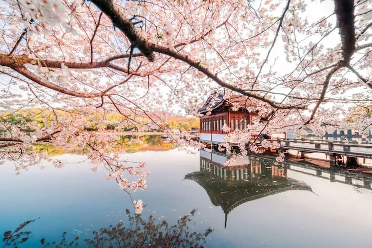 Tour Trung Quốc: Bắc Kinh - Hàng Châu - Ô Trấn Tây Sách - Thượng Hải 7 ngày 6 đêm từ Hà Nội - Tết Nguyên Đán 2026 (No Shopping)