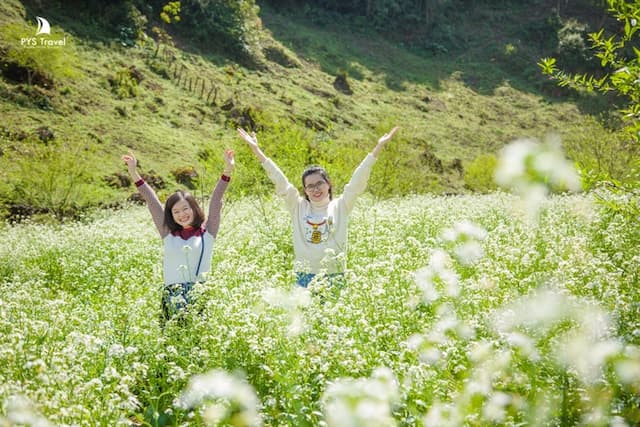 Kinh nghiệm du lịch Mộc Châu mùa hoa cải trắng từ A đến Z mới nhất