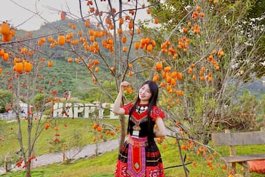 Khu du lịch Happy Land Mộc Châu - Thiên đường hoa rực rỡ giữa Tây Bắc