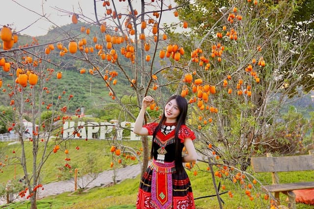 Khu du lịch Happy Land Mộc Châu - Thiên đường hoa rực rỡ giữa Tây Bắc