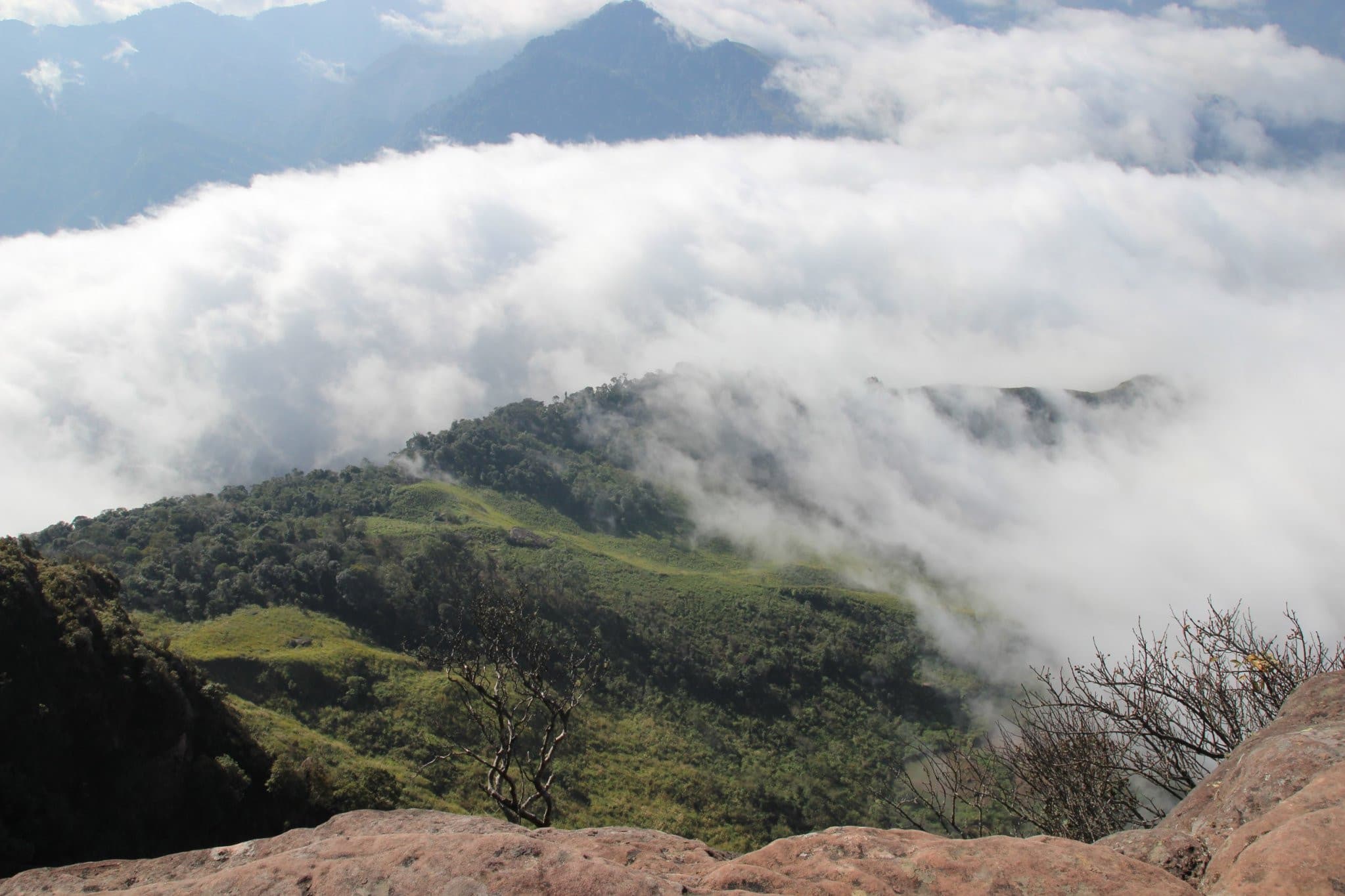 Săn mây Mộc Châu ở đâu đẹp nhất? Gợi ý những tọa độ săn mây không thể bỏ lỡ