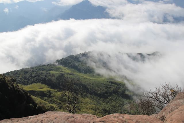 Săn mây Mộc Châu ở đâu đẹp nhất? Gợi ý những tọa độ săn mây không thể bỏ lỡ