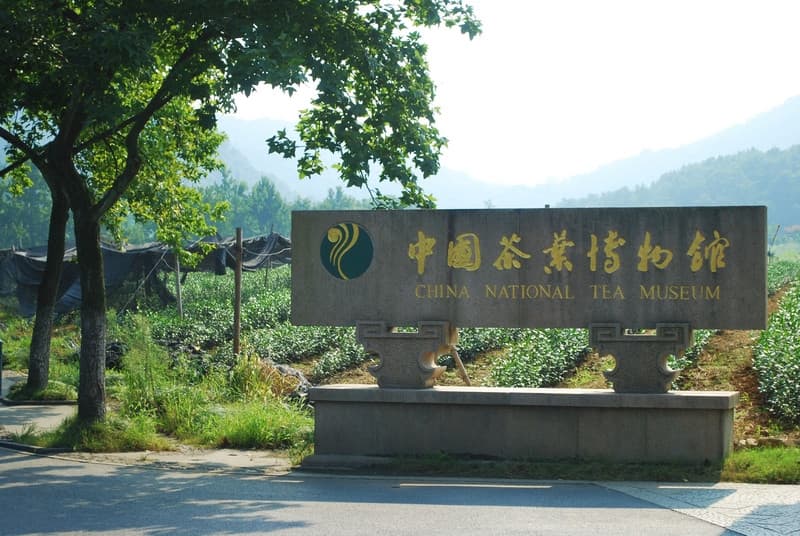 Bảo tàng Trà Trung Quốc tại Hàng Châu - Hành trình khám phá lịch sử trà nghìn năm