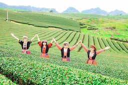 Tour Mộc Châu - Chùa Phật Quang 2 ngày 1 đêm từ Hà Nội - Du Xuân 2026