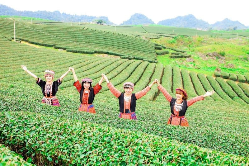 Tour Mộc Châu - Chùa Phật Quang 2 ngày 1 đêm từ Hà Nội - Du Xuân 2026