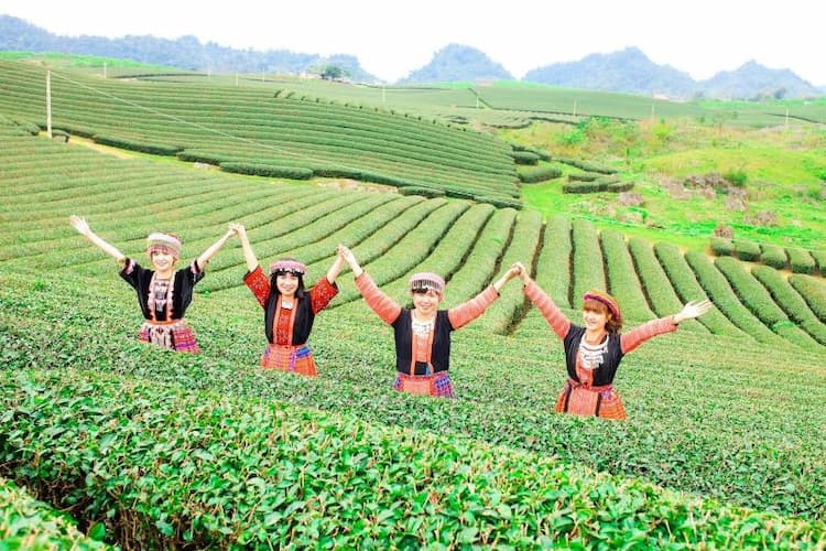 Tour Mộc Châu - Chùa Phật Quang 2 ngày 1 đêm từ Hà Nội - Du Xuân 2026