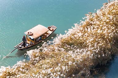 Công viên quốc gia đầm lầy Xixi - Viên ngọc xanh giữa lòng Hàng Châu Trung Quốc