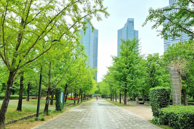 Tour Hàn Quốc: Seoul - Nami - Seoul Forest - Korean Folk Village 5 ngày 4 đêm từ Hà Nội - Nghỉ lễ 30/4 - 1/5