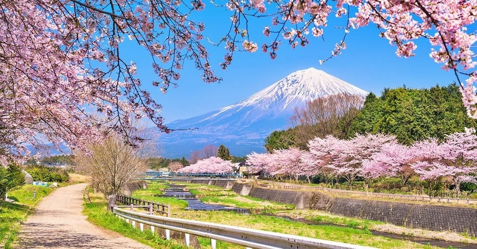 Mùa xuân nên đi du lịch nước nào? Top quốc gia lý tưởng để du xuân 2026