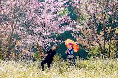 Du lịch Cao Bằng mùa xuân: Hành trình tìm về "viên ngọc xanh" vùng biên giới