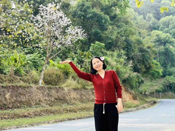 Hỏa tốc về Điện Biên khi tháng 3 hoa ban vào mùa