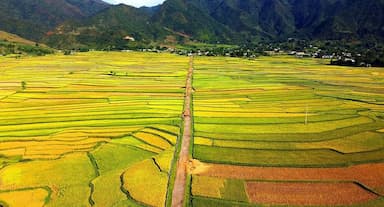 Du lịch Mường Lò Yên Bái: Hành trình tìm về nét đẹp nguyên sơ