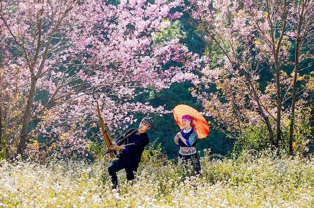 Những mùa hoa Cao Bằng rực rỡ núi rừng Đông Bắc