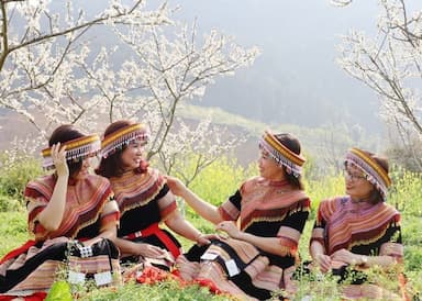 Điểm hẹn văn hóa đặc sắc: Bắc Hà - Festival Mùa Xuân 2026: “Tinh hoa hội tụ - Khát vọng vươn xa”