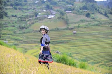 Khám phá lễ hội ruộng bậc thang Mù Cang Chải