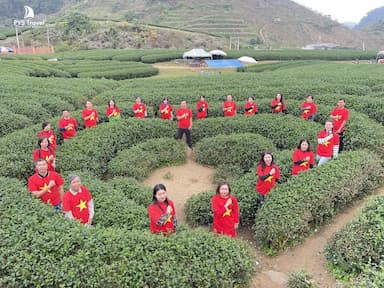 Du lịch Mộc Châu dịp 30/4 - 1/5 có gì? Cùng PYS Travel tìm hiểu