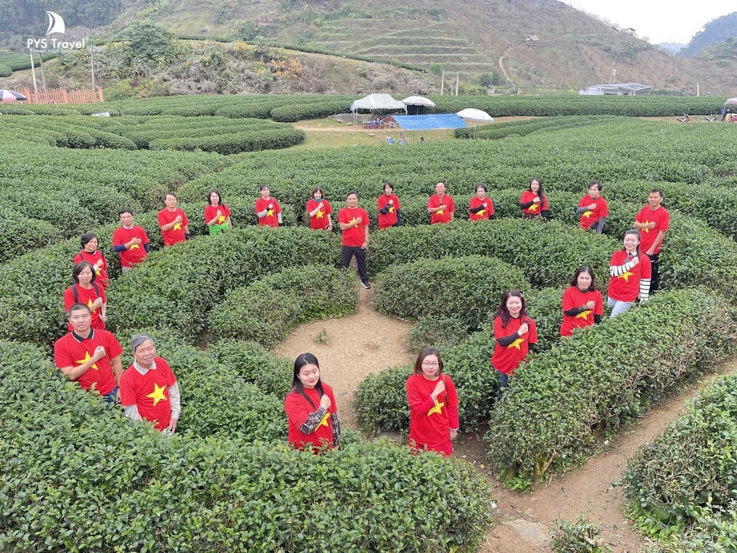 Du lịch Mộc Châu dịp 30/4 - 1/5 có gì? Cùng PYS Travel tìm hiểu