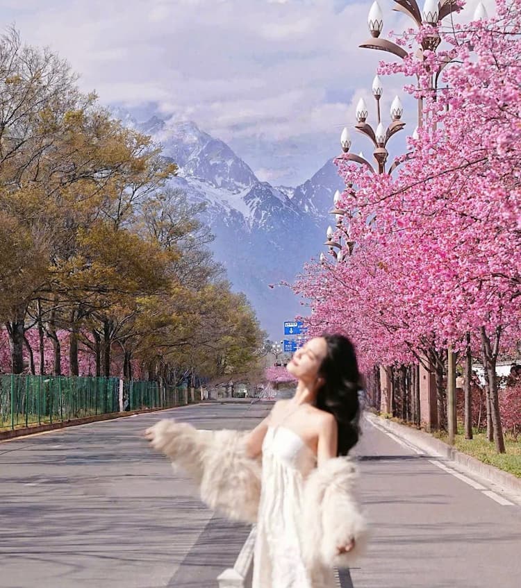 Tour Trung Quốc: Lệ Giang - Shangrila 5 ngày 4 đêm từ Hà Nội - Bay Bamboo Airways