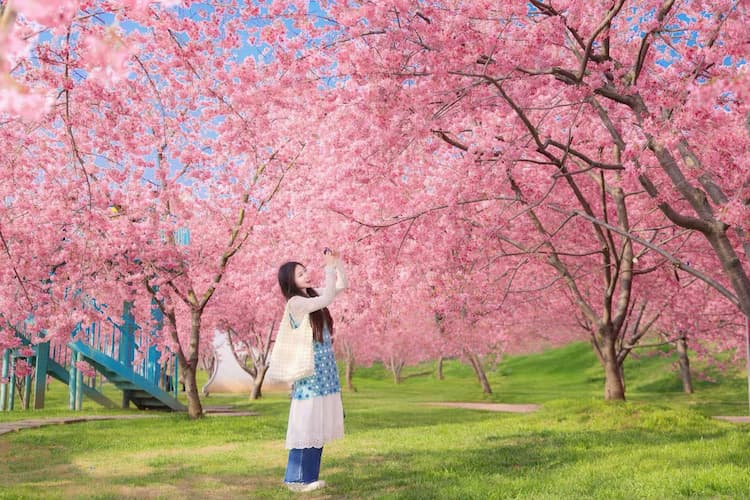 Tour Trung Quốc: Cửu Trại Câu - Thành Đô - Công viên Manhua - Lạc Sơn Đại Phật 6 ngày 5 đêm từ Hà Nội