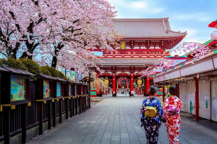 Tour Nhật Bản: Osaka - Kobe - Kyoto - Phú Sĩ - Tokyo 6 ngày 5 đêm từ Hà Nội